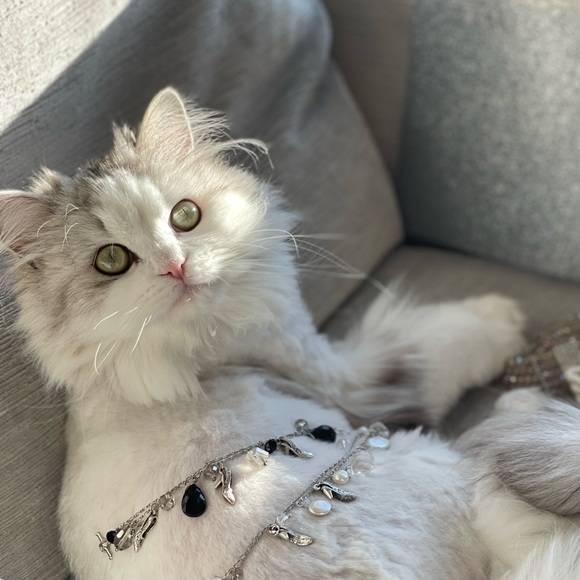 NWT ELEGANT DOUBLE STRAND CHARM BRACELET IN JET BLACK & CLEAR SILVER CRYSTALS - Picture 9 of 9